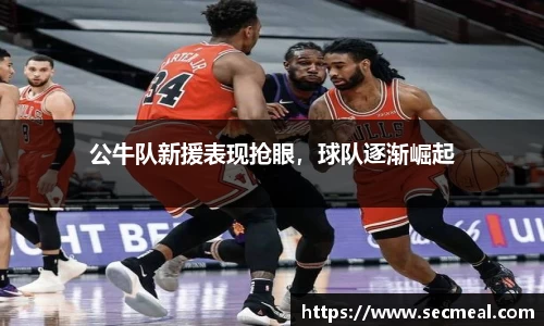 乐竞体育官网入口