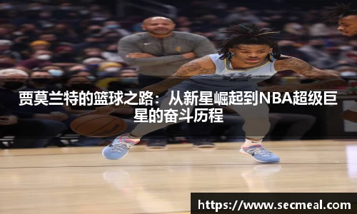 乐竞体育