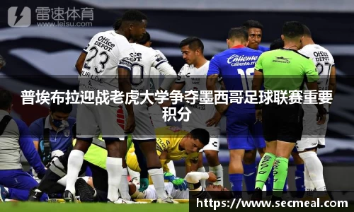 乐竞体育官方网站