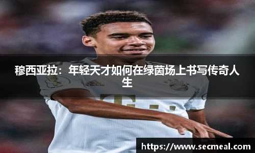 乐竞体育官网入口