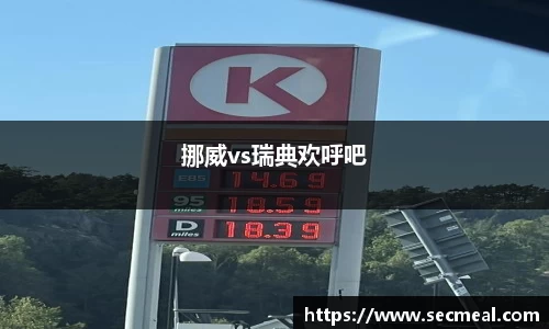 挪威vs瑞典欢呼吧