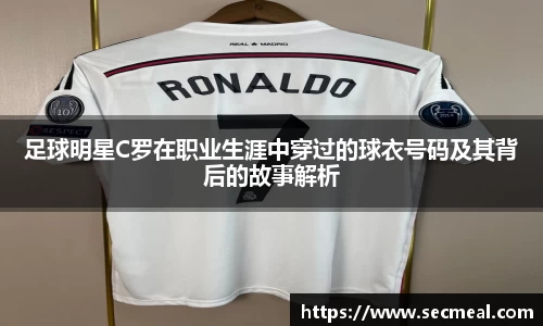 乐竞体育官网入口